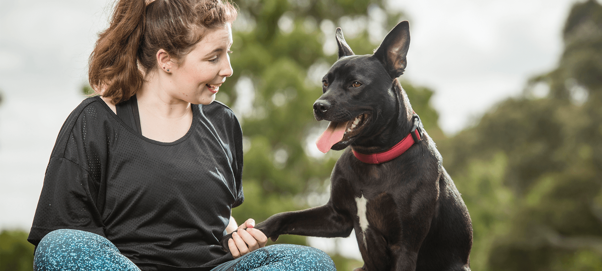 Using Collar Is An Effective Way To Pet Rescue